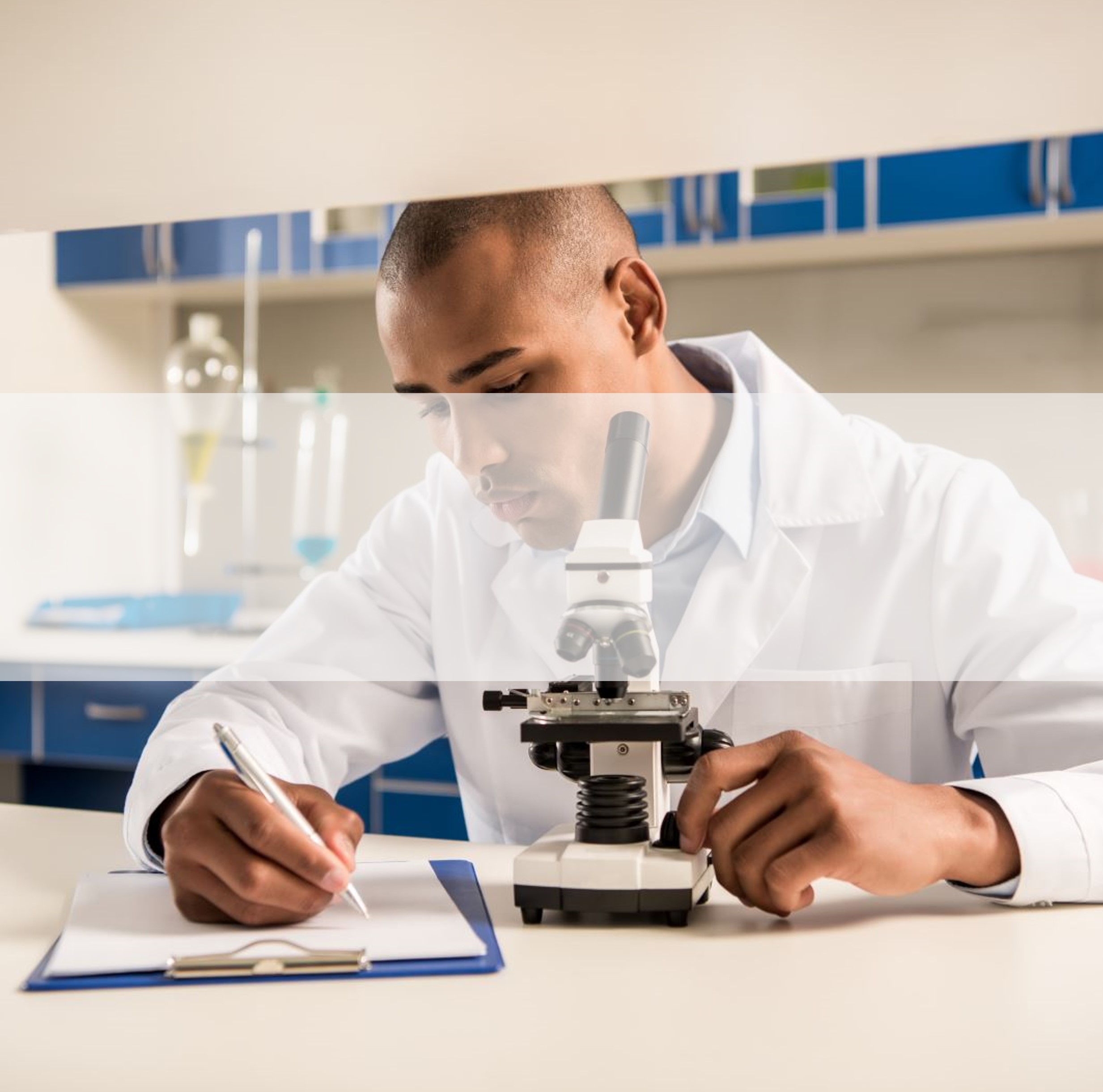 Lab Interim Provider interface